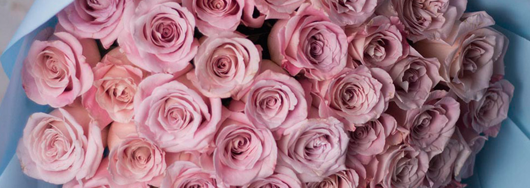 Розы на подарок